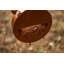 Alonsa Metal Hanging Decorative Bird Feeder
