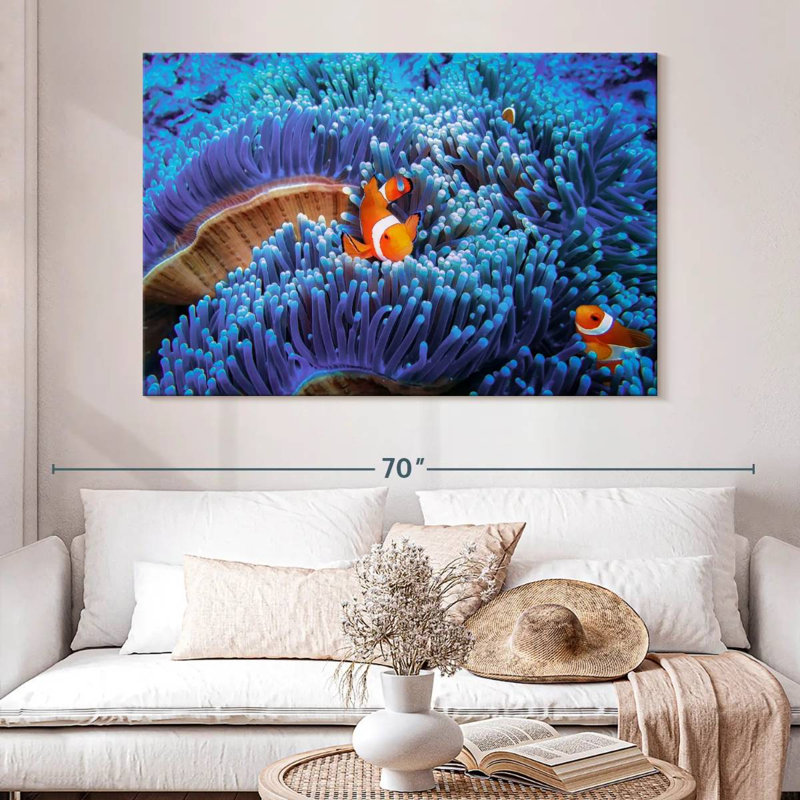 Bali sea anemone clownfish Aletra, H 34 po x l 51 po