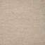 Bardez Sheer-1367336124