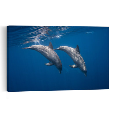 Dolphins Swimming Blue Ocean Contemporary Dolphin Wall Art Print 1 Piece Wrapped Canvas Wall Art