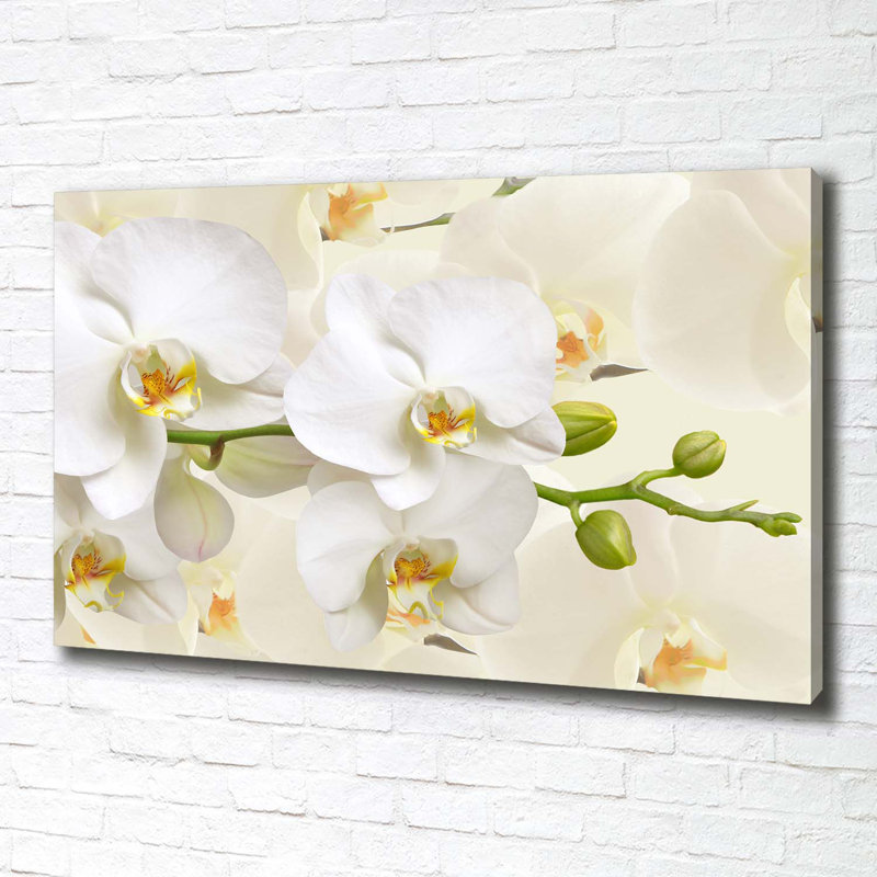 Orchid - No Frame Print on Canvas