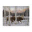 «Forest Twilight» par Fazulla, impression sur toile tendue-27491300