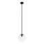 1 - Light Single Globe Pendant