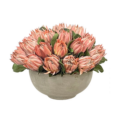 Pink Protea In Bowl