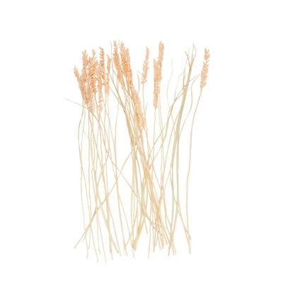 Eloise Cole And Grey Dried Plant Tall Natural Foliage With Cream Stems