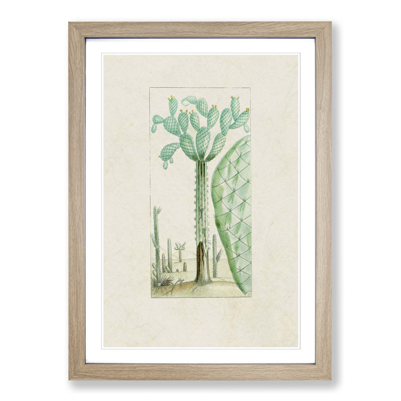 Cactus Illustration - Picture Frame Painting Print, 48cm H x 36cm W x 2cm D, Oak Framed