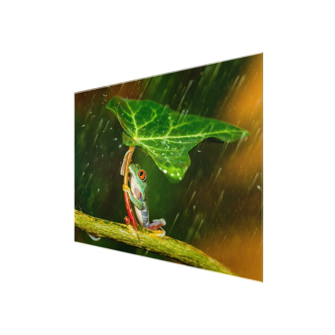 Glasbild Ein Frosch im Regen