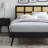 Modway Sidney Cane and Wood Platform Bed with Splayed Legs-255132138-255132137