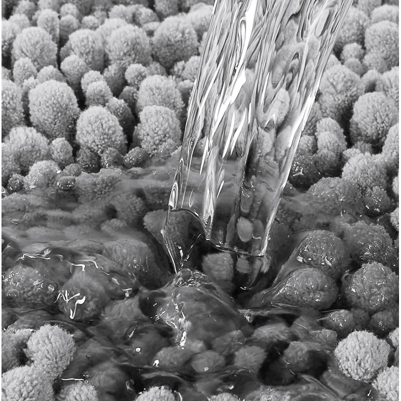 Ensemble de 2 tapis de salle de bain en chenille moelleux et moelleux, L 27 po x L 47 po, Gris clair