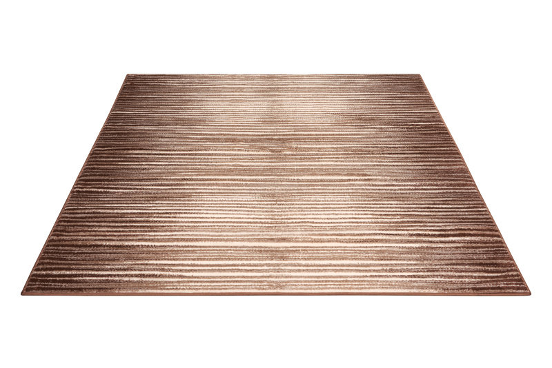 Densmore Striped Indoor Rug, Rectangle 3'11" x 5'3"