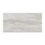 Carreau de mosaïque de plancher et de mur en porcelaine mate 12 po x 12 po Marnix-97730032