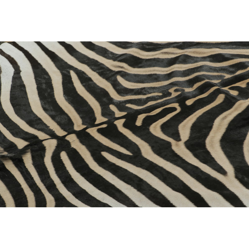 Modern Area Rug