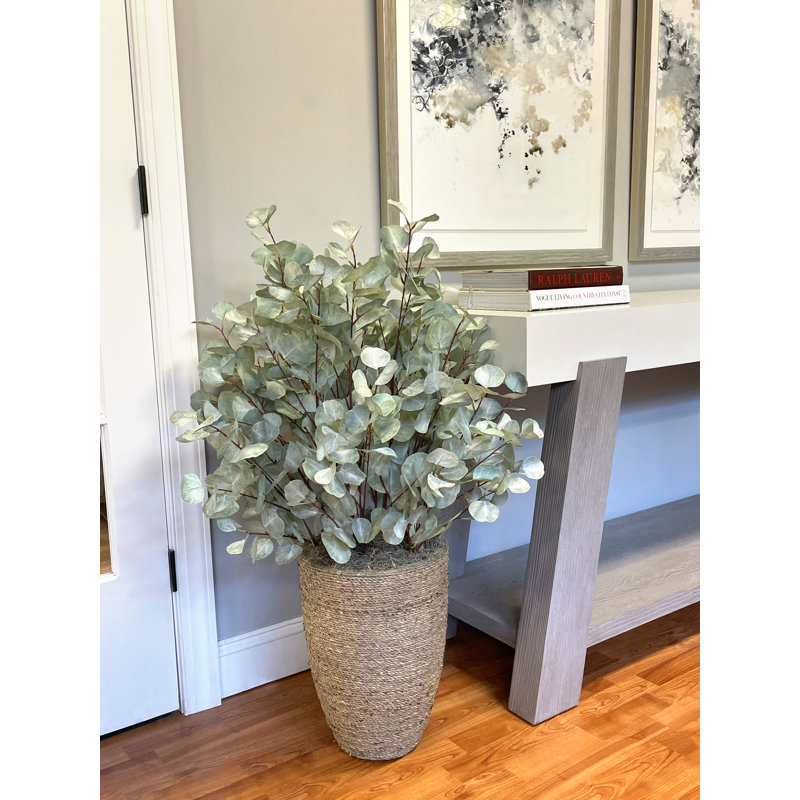 Eucalyptus disposés dans un pot de ciment en paille