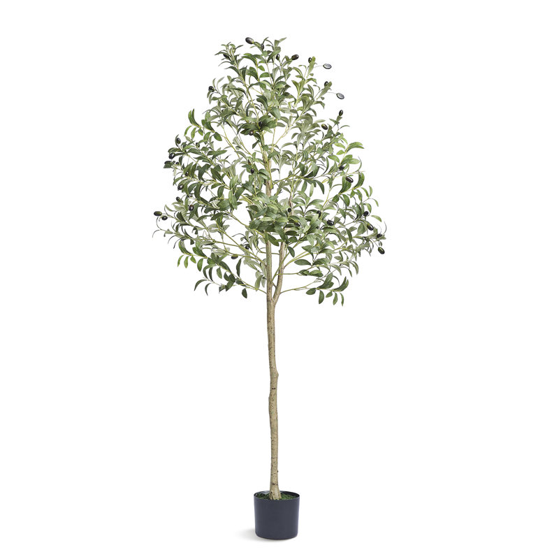 155.0cm Faux Olive Tree Tree in Planter