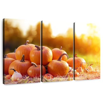 Yarlin Harvest Of Pumpkins