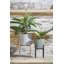 Edmon 3.75" Metal Plant Stand
