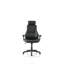 Executive Chair with Headrest