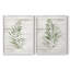 Impression encadrée Tropic Frond I-Premium - prête à être accrochée - aucun clou requis - aucun clou requis-919736097-919736109