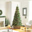 Collier pour arbre en bois massif St Ives-653830269-552876752