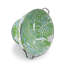 Modern Monet Large Colander