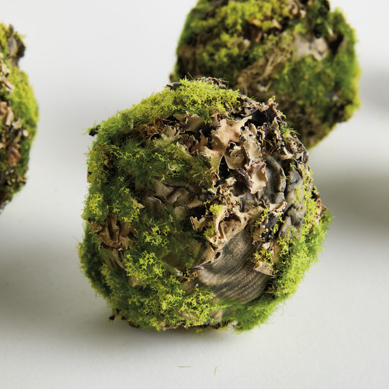 Pham MOSSY LICHEN ORBS 3.5" Set of 6