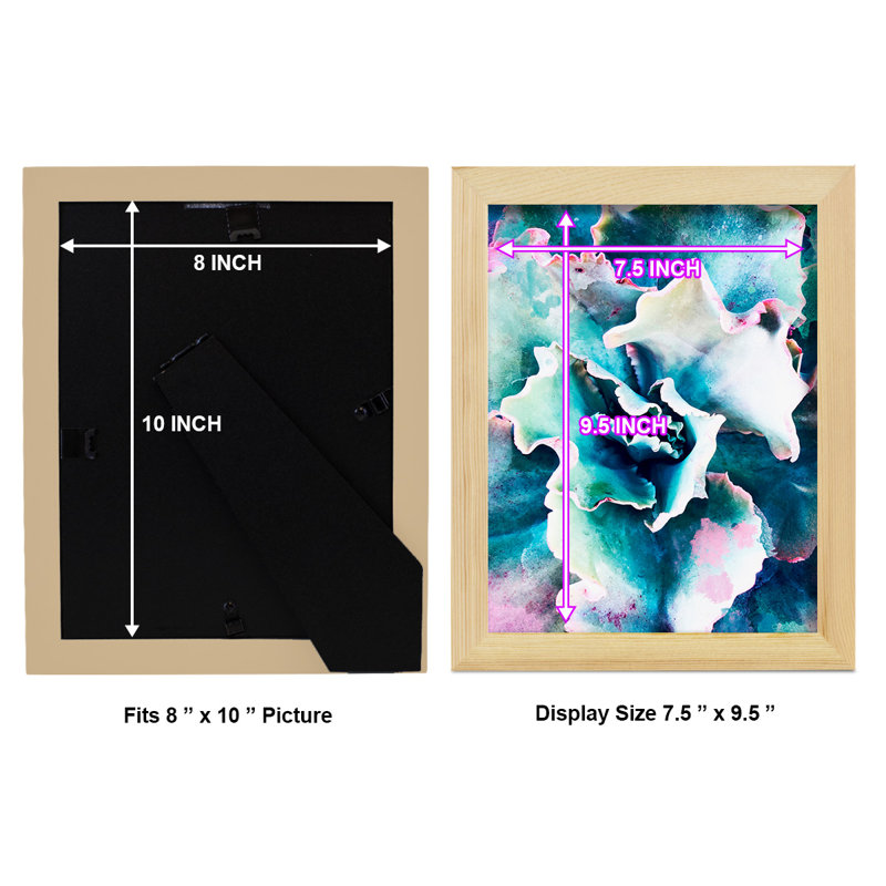 «Pastel Succulent Beauty I», reproduction de cadre photo simple, H 11 po x l 9 po x P 1 po, Naturel