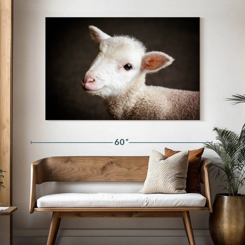 Brampt Baby Sheep, H 34 po x l 51 po