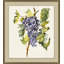 Vineyard Grapes Impression 1 Print by Nathan Turner