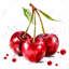 Cerises - art encadré rouge pour décoration intérieure