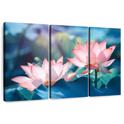Fleurs de lotus Harnek
