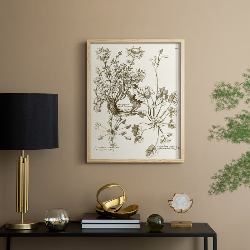 Sepia Botanical Journal IX Framed Print - Solid Wood, Natural, 11" H x 9" W