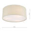 Derbyshire Plastic Flush Mount-1439351808