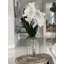 Orchid Centerpiece in Vase