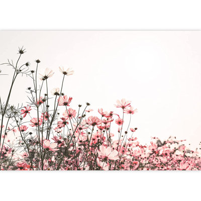Scénique champ de fleurs sauvages roses