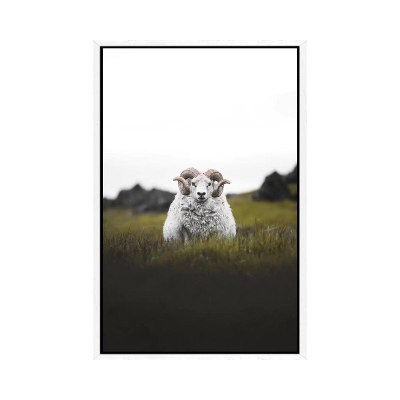 Staredown by Joe Shutter - Print on Canvas, White Framed, 66.04 cm H x 45.72 cm W