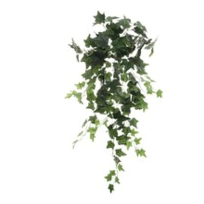 2 Pc Hanging English Ivy Bush - 36"