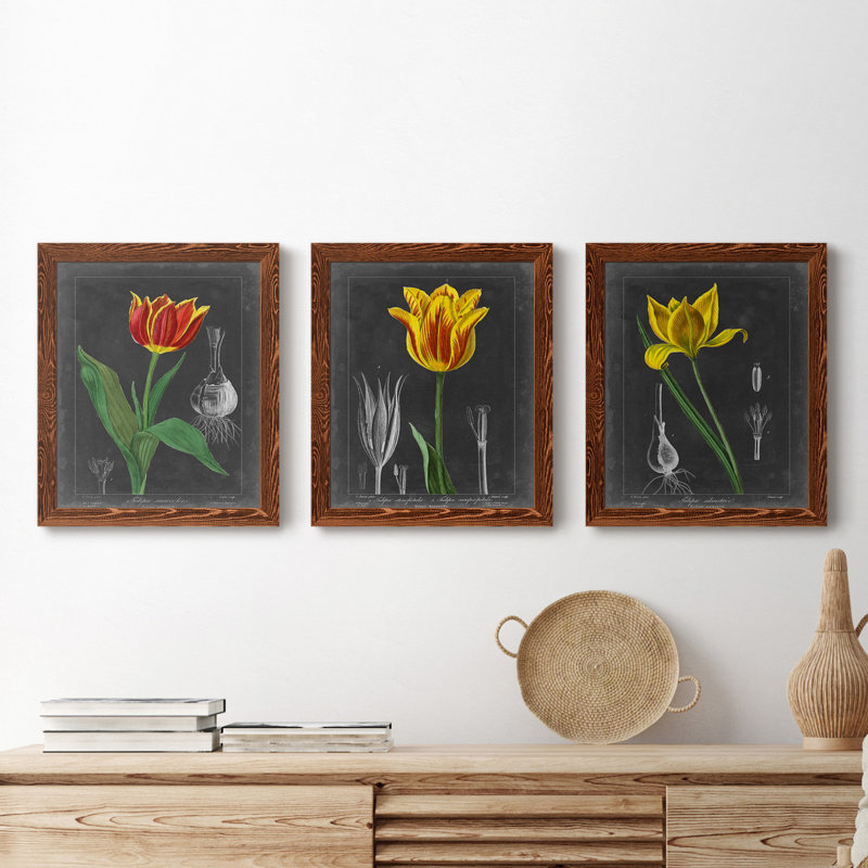 «Midnight Tulip IV», ensemble de 3 peintures sur toile encadrées, H 24 po x l 36 po x P 1,5 po, Érable