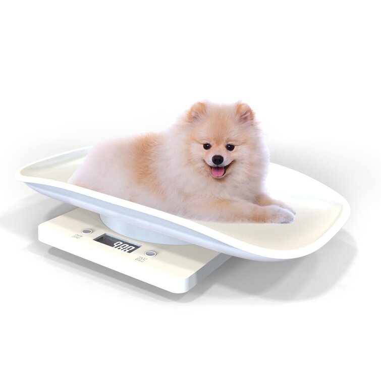 22lbs Digital Scale Frong