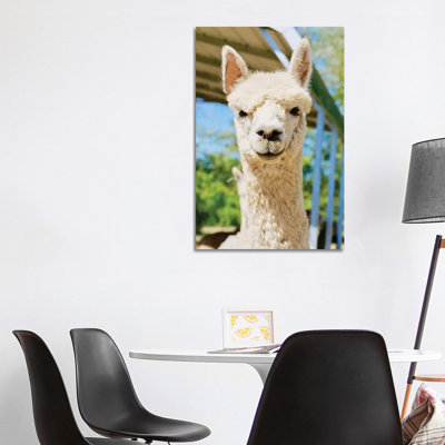 " White Alpaca " by Susan Vizvary
