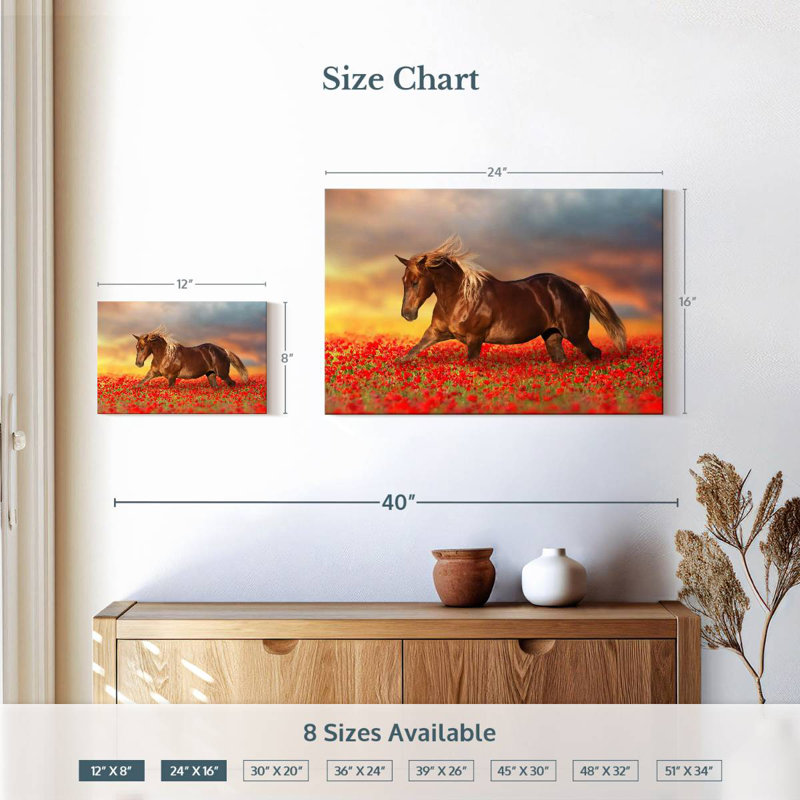 Cheval dans un champ de coquelicots, H 16 po x l 24 po