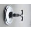 Bellis® Pressure Balance Trim with Diverter