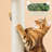 Farnham Litter Box Enclosure-1121977581