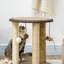 Arbre à chat Cordalia