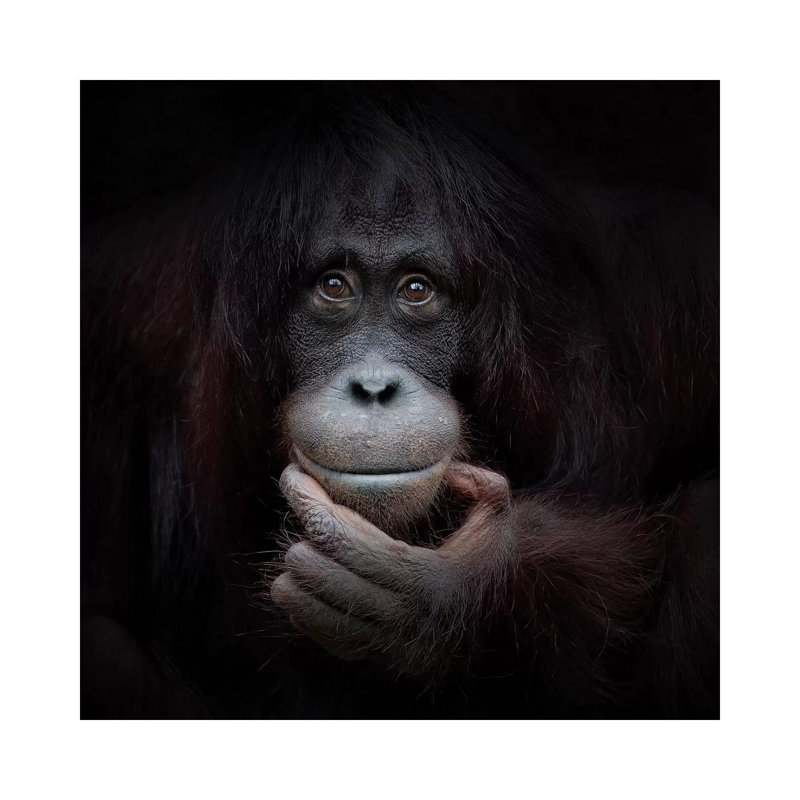 The Mirror Image by Antje Wenner-Braun - Print on Canvas, Wrapped Canvas, 66.04 cm H x 66.04 cm W x 1.91 cm D