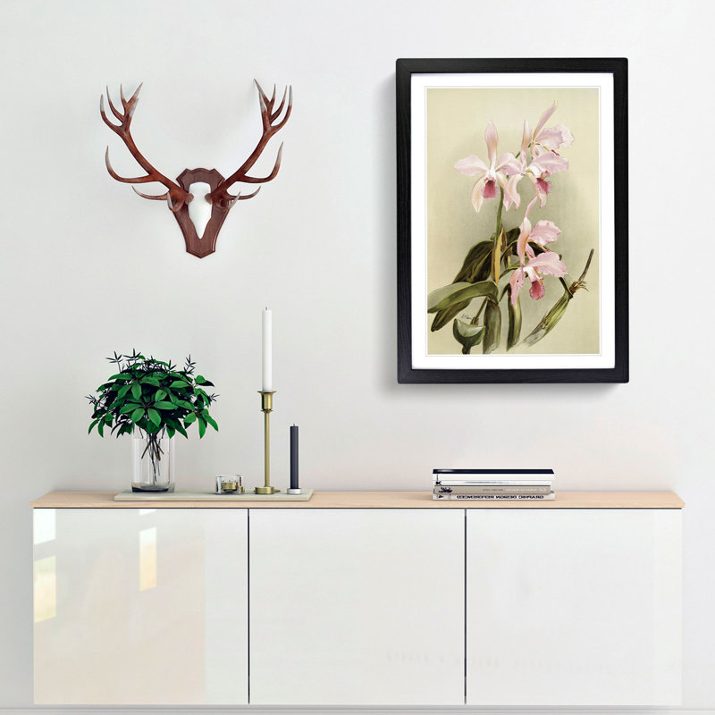 Magnolia Flowers Illustration Tab. 85 by Frederick Sander - Picture Frame Painting Print, 60cm H x 40cm W x 2cm D, Black