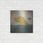 «Yellow Dog Swim» par Ryan Fowler-1300363321