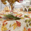 Nappe Rhoton-1588578702