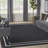 Nourison Essentials Black Ivory Indoor/Outdoor Area Rug-186601531