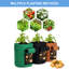 Trousse de croissance