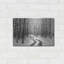 «Snowy Road» par Lori Deiter-997324197